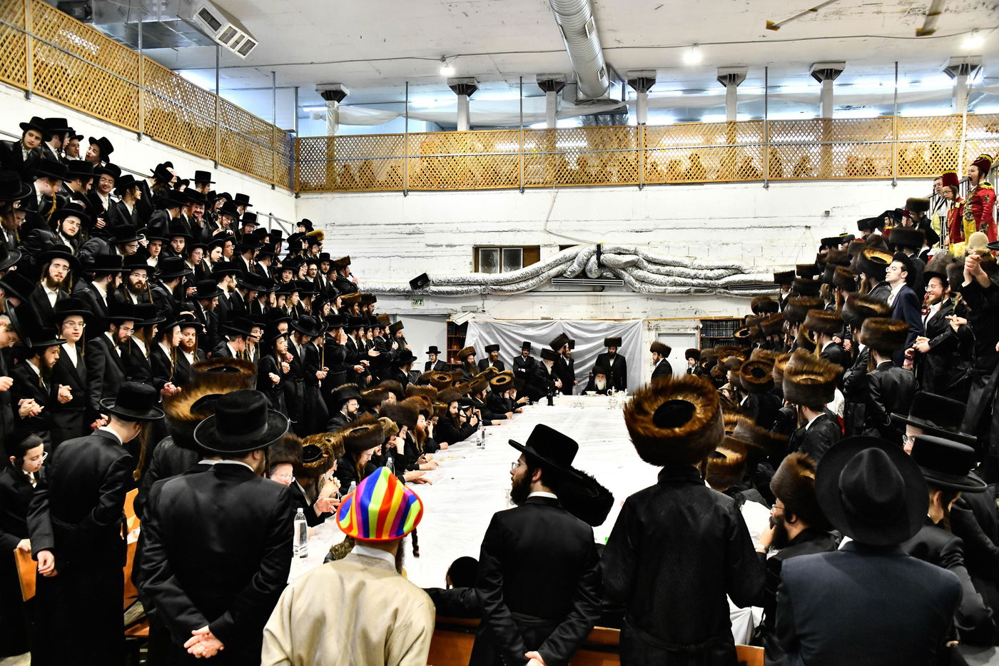 פורים בחצה"ק מכנובקא בעלזא