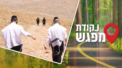 אילוסטרציה