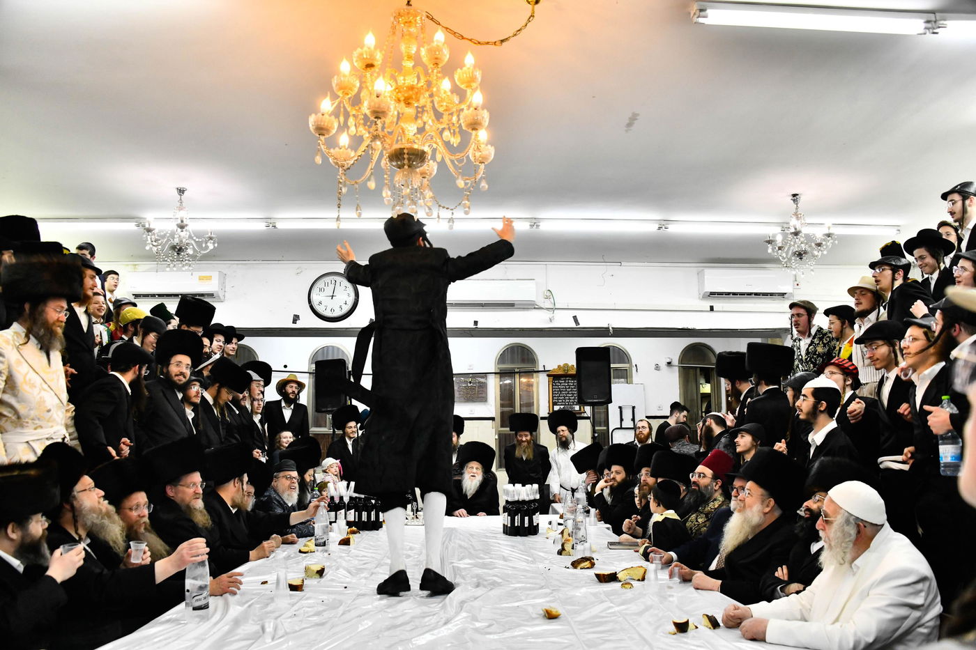 פורים בחצה"ק מודז'יץ