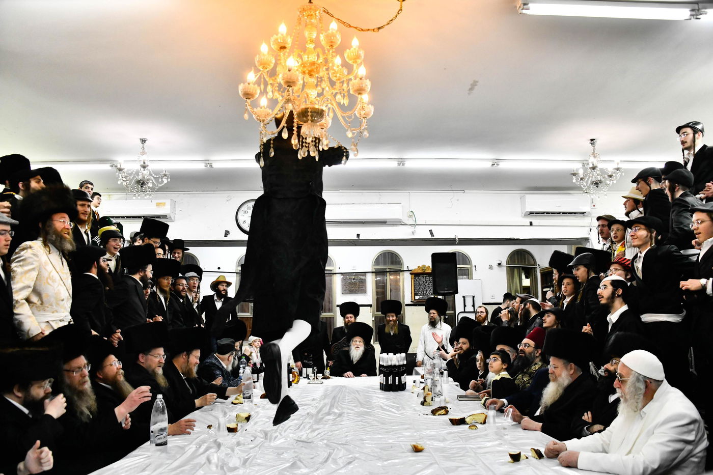 פורים בחצה"ק מודז'יץ