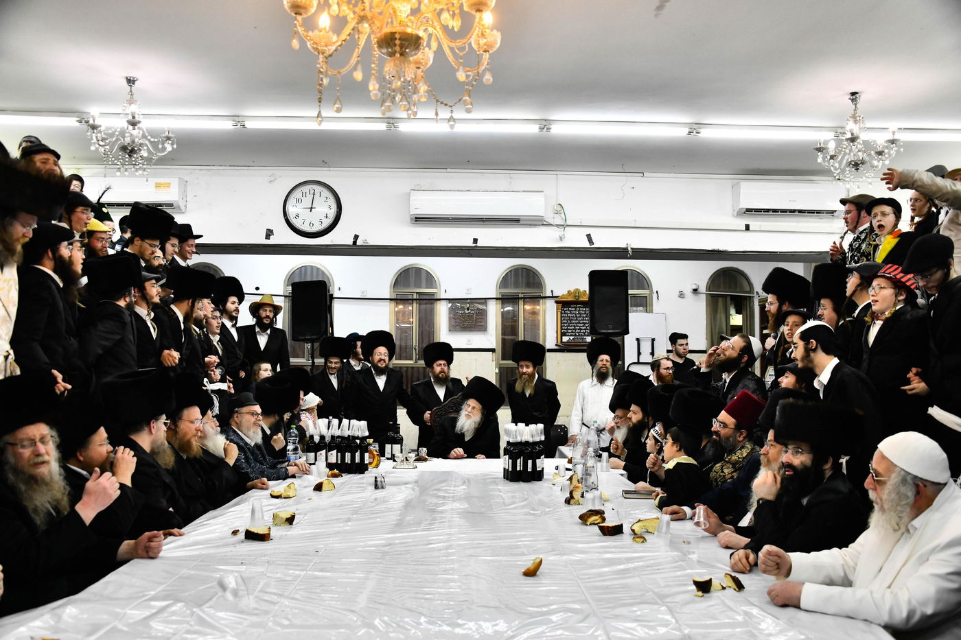 פורים בחצה"ק מודז'יץ