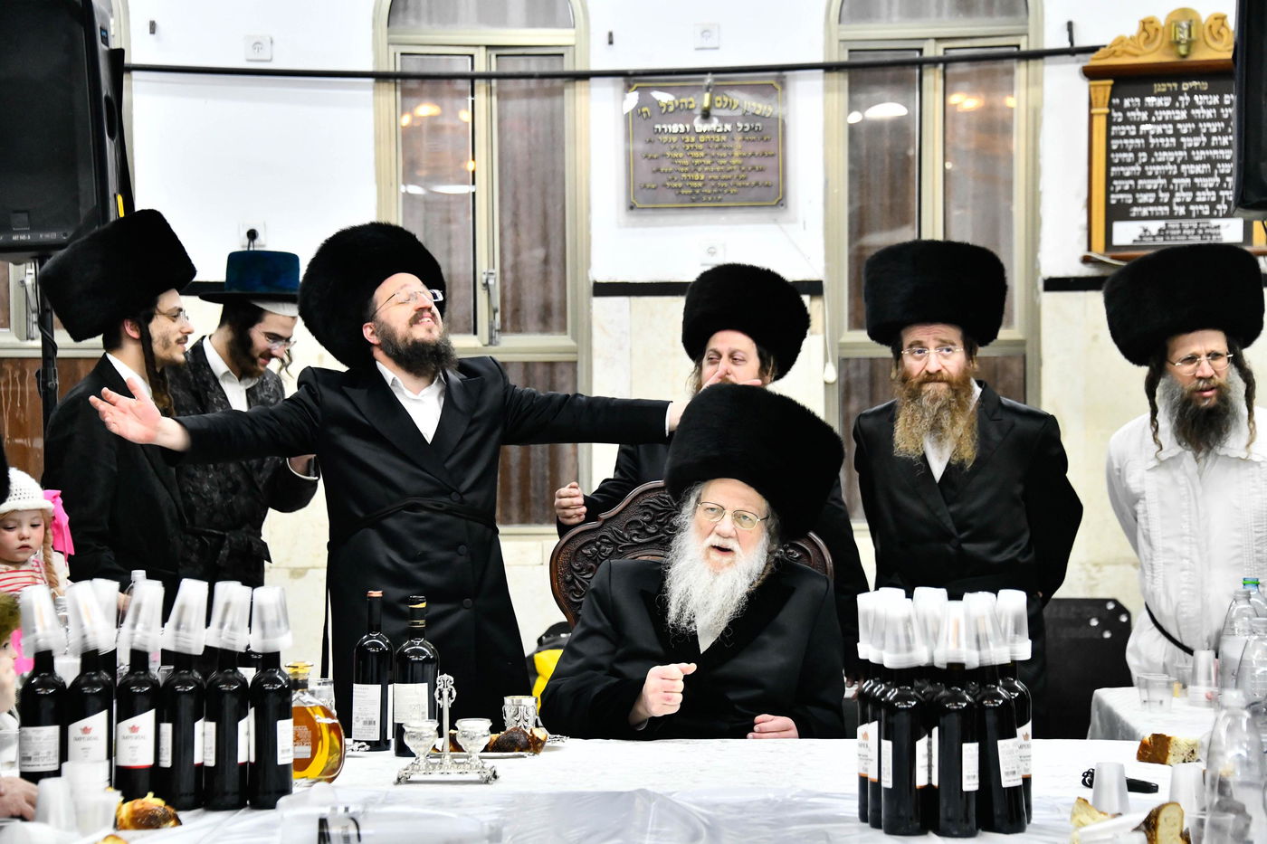 פורים בחצה"ק מודז'יץ