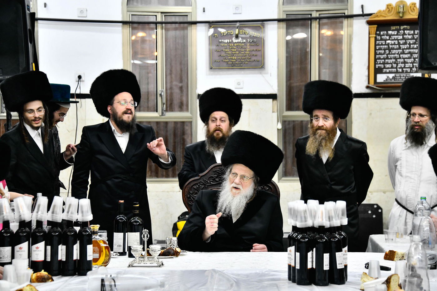 פורים בחצה"ק מודז'יץ