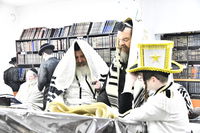 קריא המגילה בחצה"ק זוטשקא אמסנא