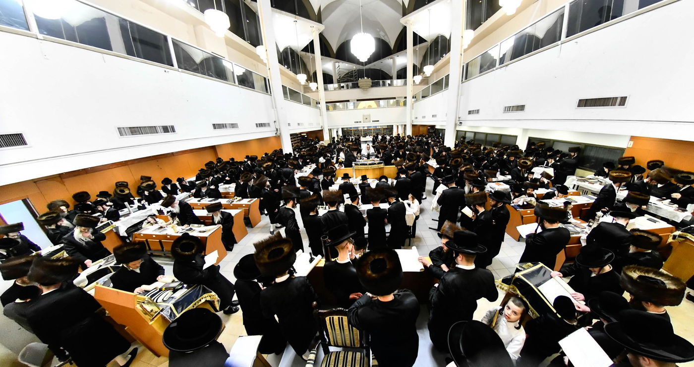 פורים בחצה"ק נדבורנה