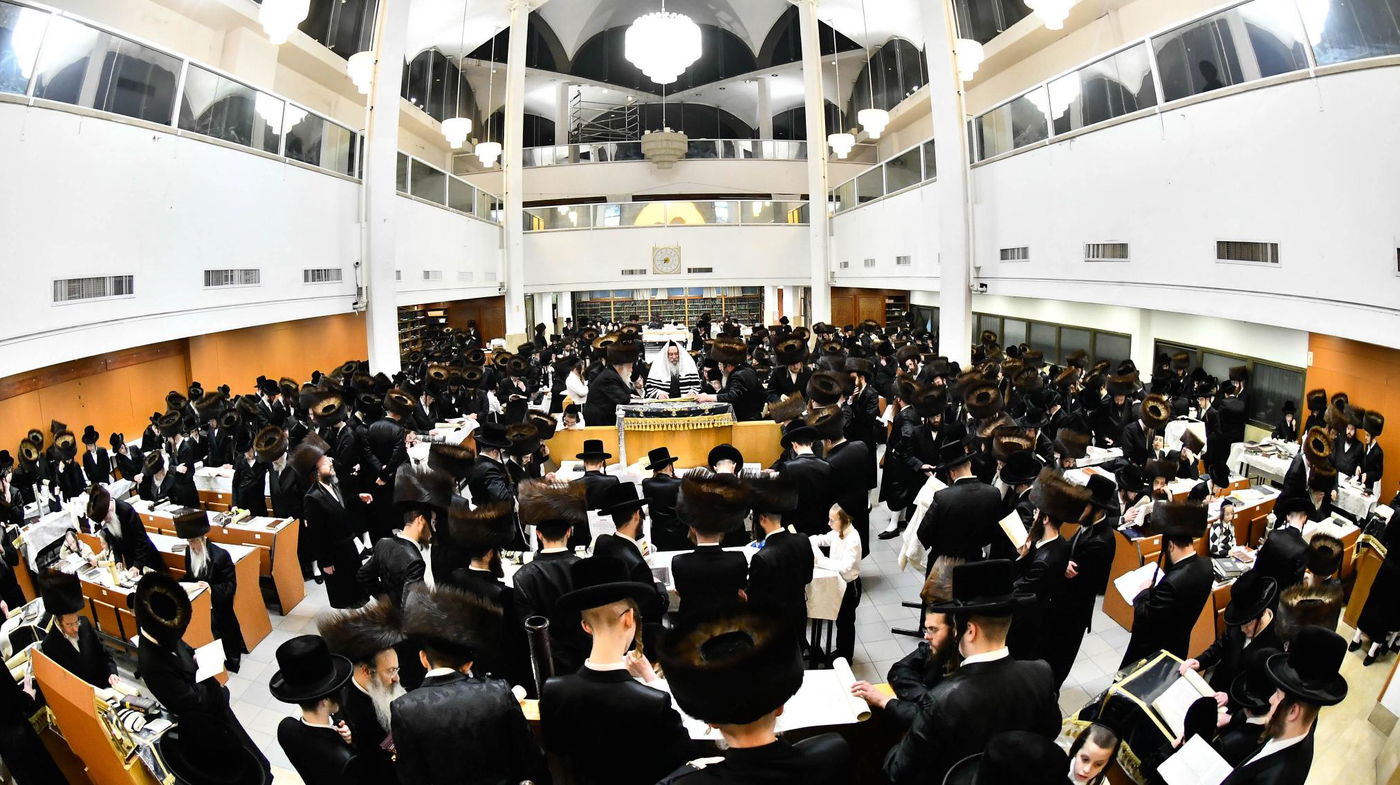 פורים בחצה"ק נדבורנה