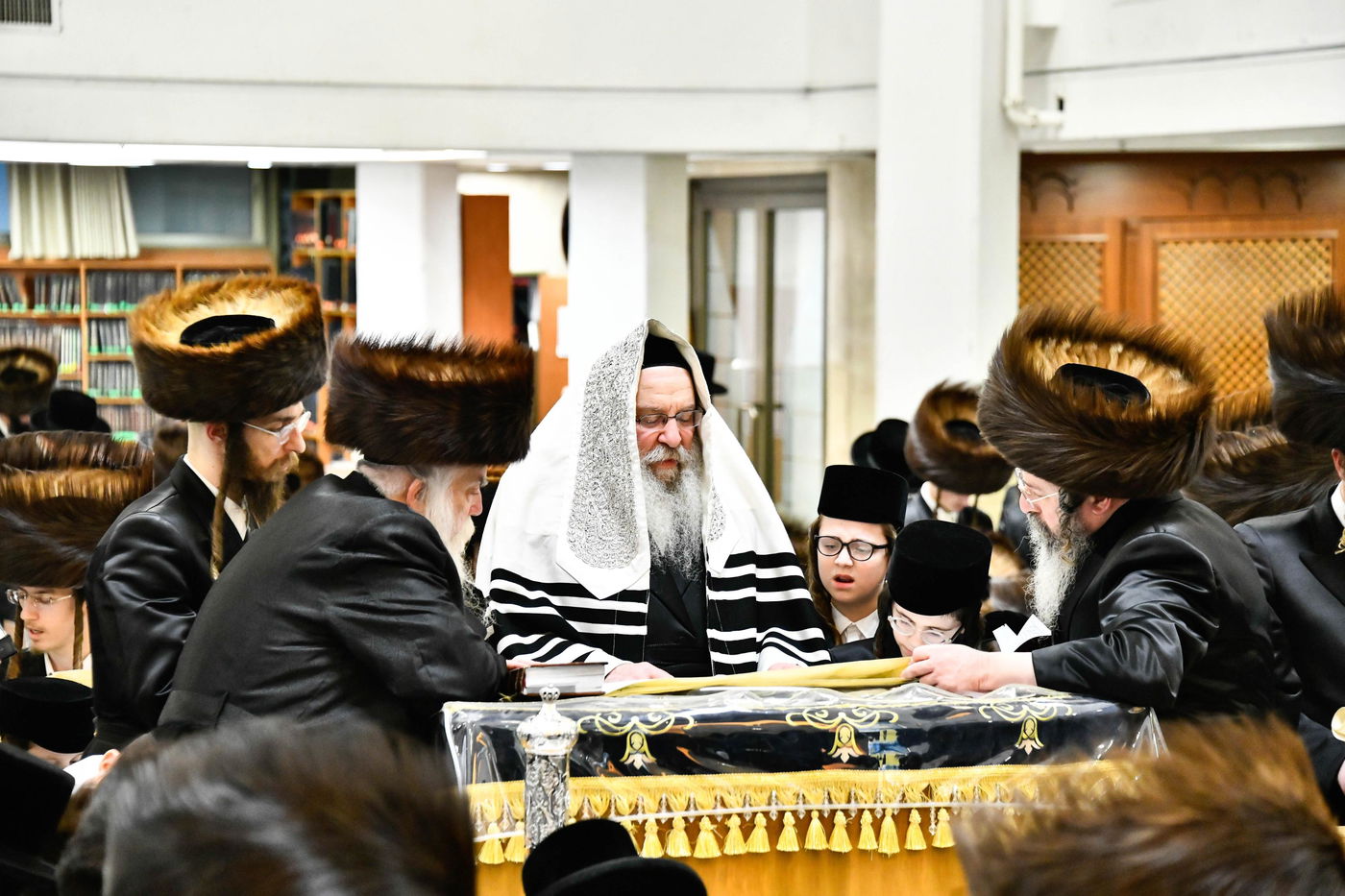 פורים בחצה"ק נדבורנה