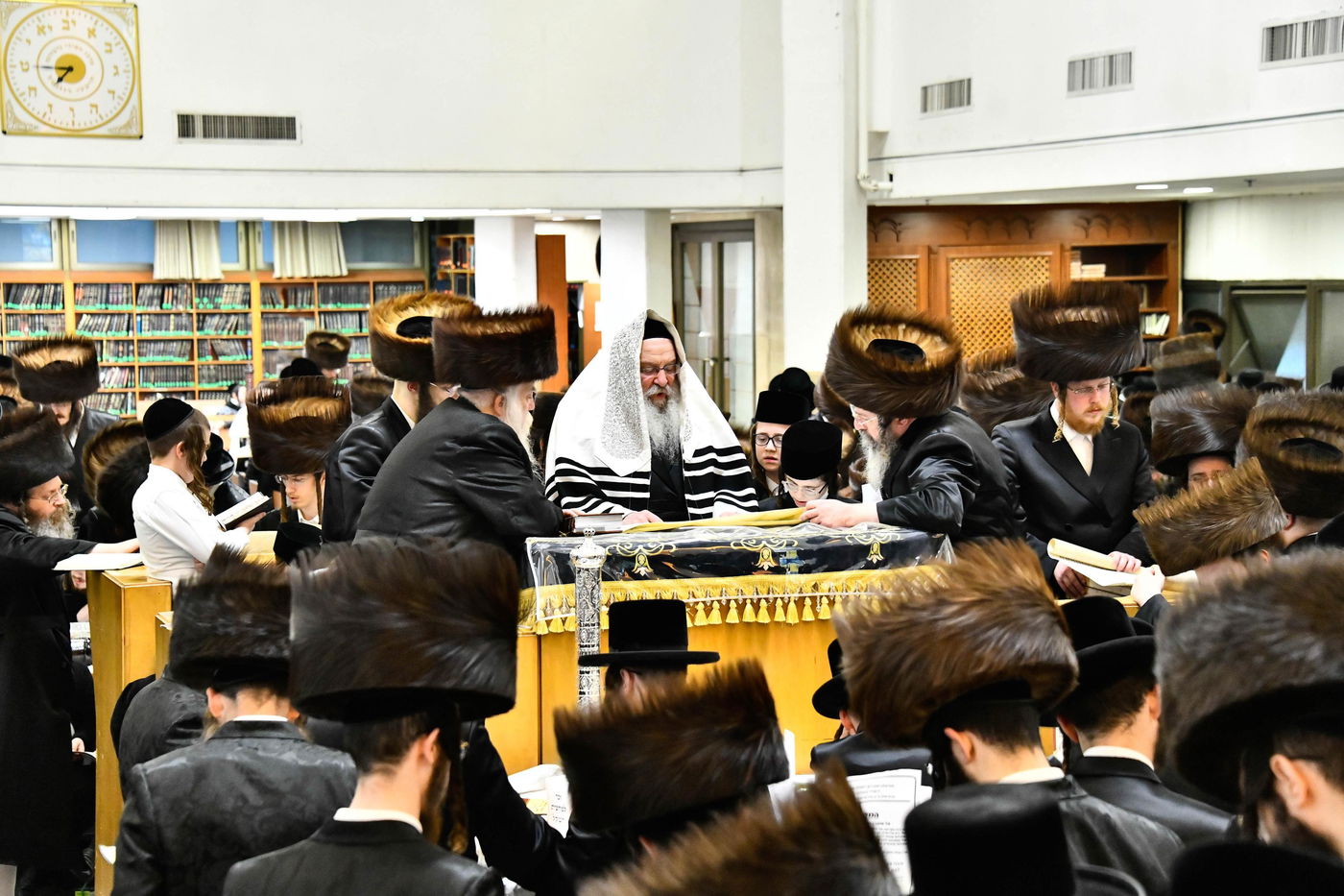 פורים בחצה"ק נדבורנה