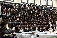 פורים בחצה"ק דארג