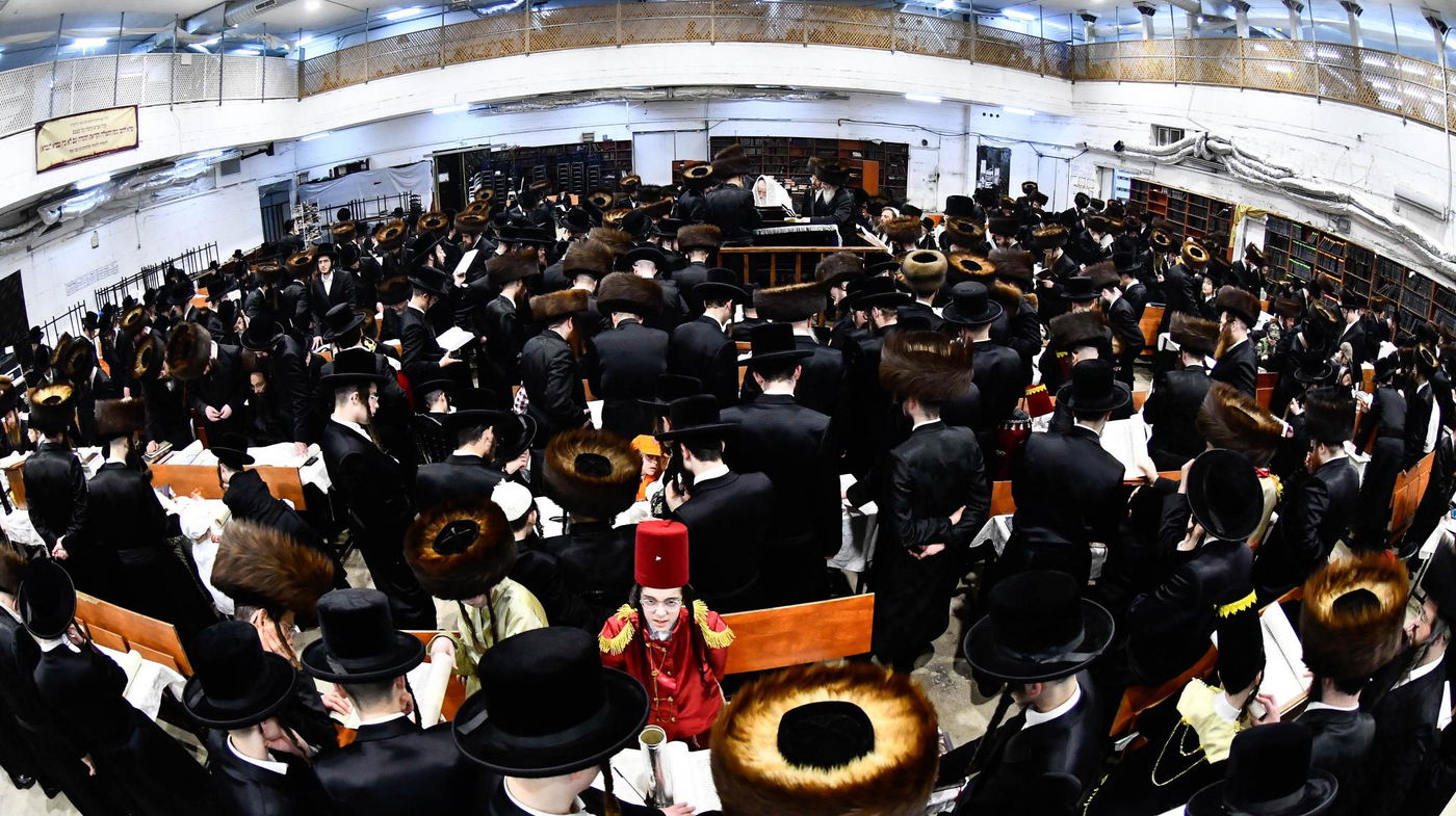 האדמו"ר ממכנובקא בעלזא בקריאת המגילה