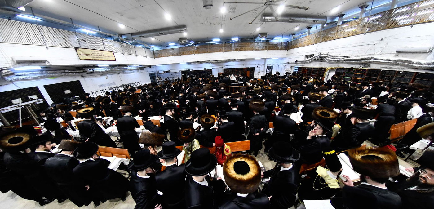 האדמו"ר ממכנובקא בעלזא בקריאת המגילה