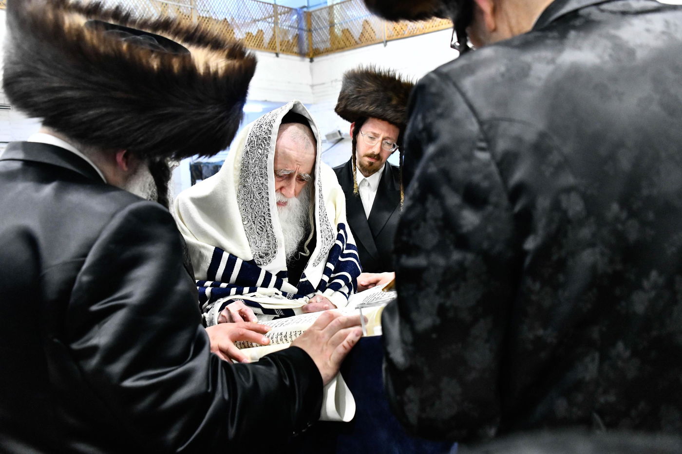 האדמו"ר ממכנובקא בעלזא בקריאת המגילה