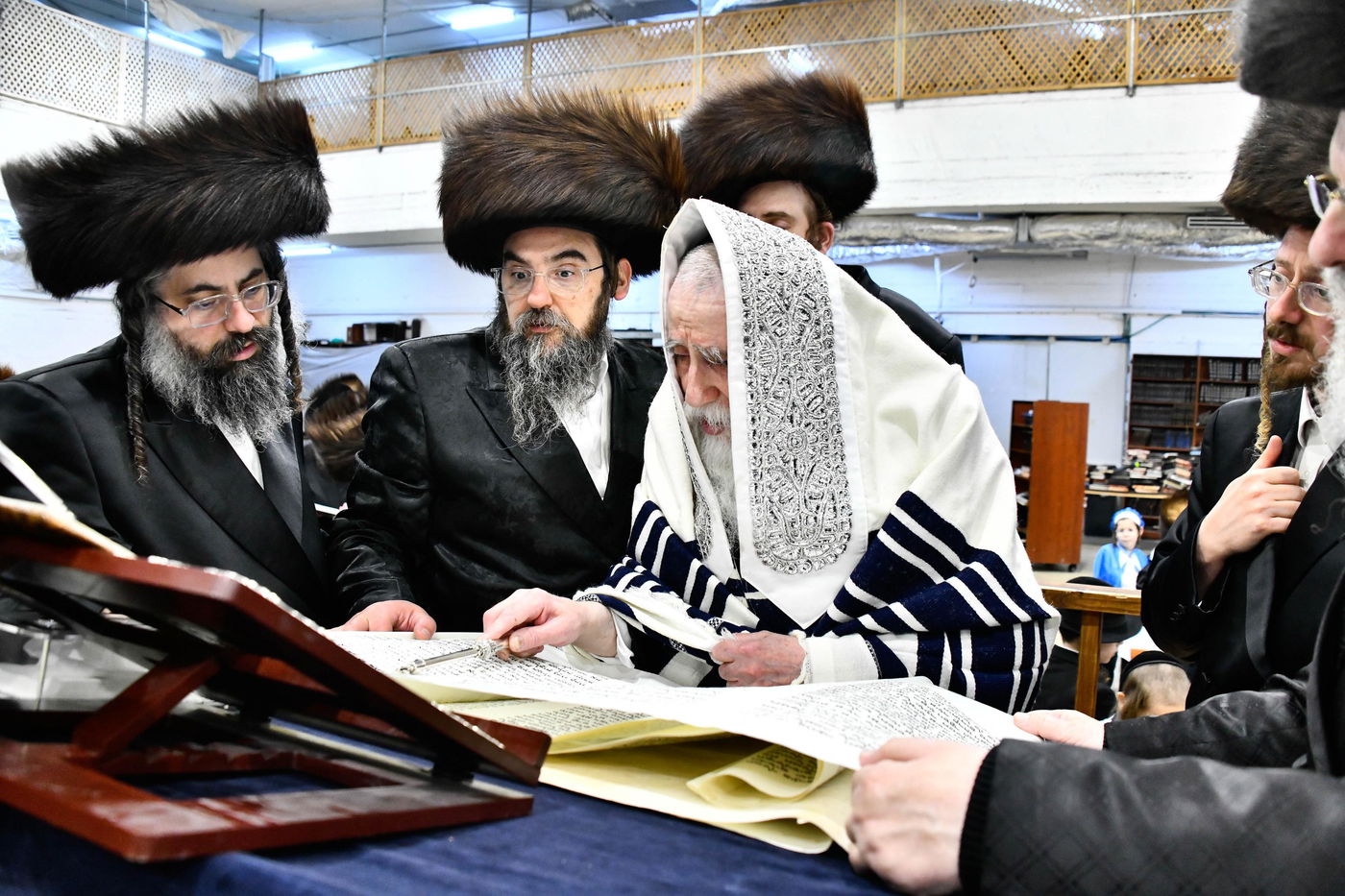 האדמו"ר ממכנובקא בעלזא בקריאת המגילה