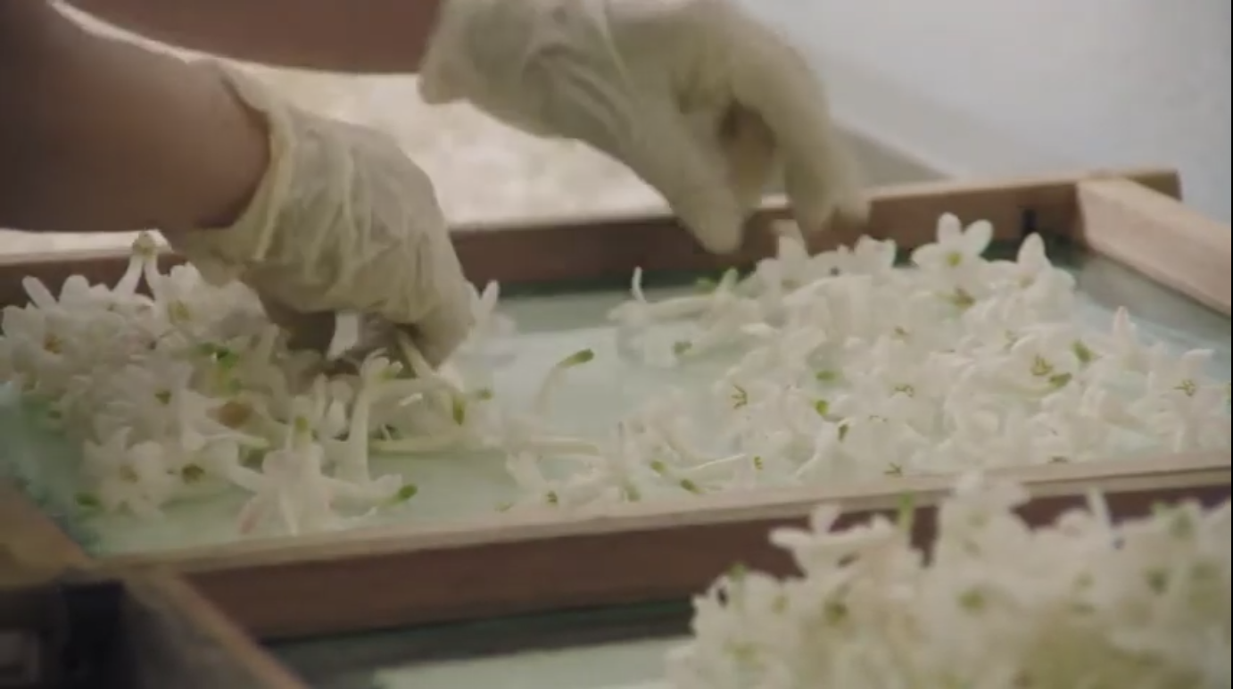 הליך פיזור הפרחים על הטבלאות