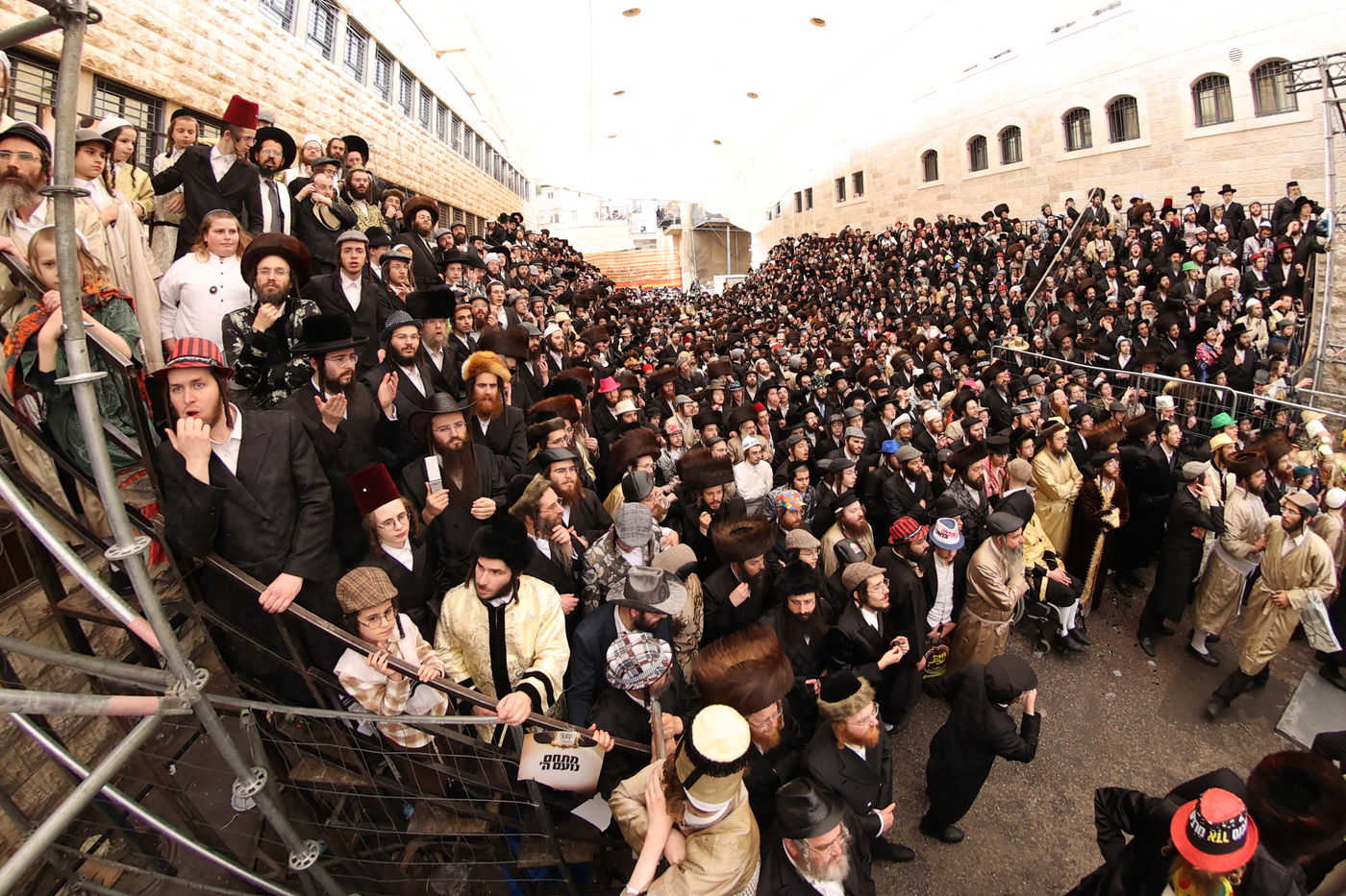 פורים בצל הגה"צ רבי יעקב מאיר שכטר