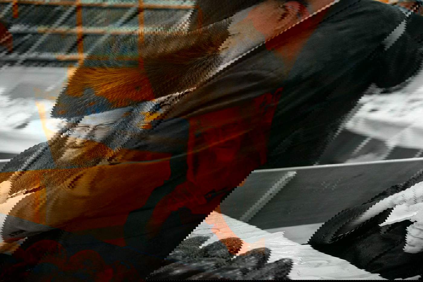 פורים בחצה"ק קאליב