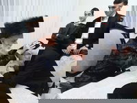 פורים בחצה"ק בוטושאן 