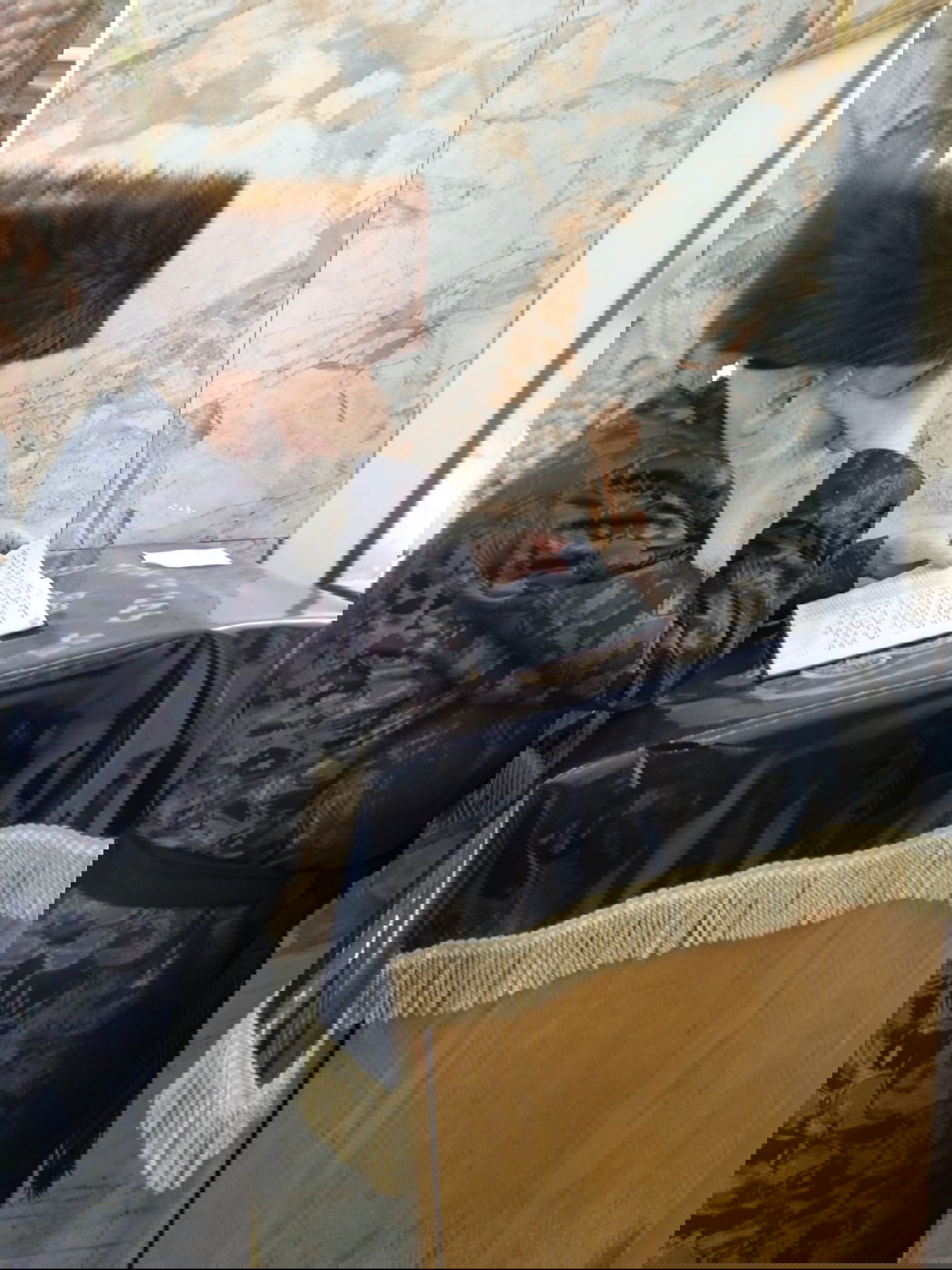 פורים בחצה"ק בוטושאן 