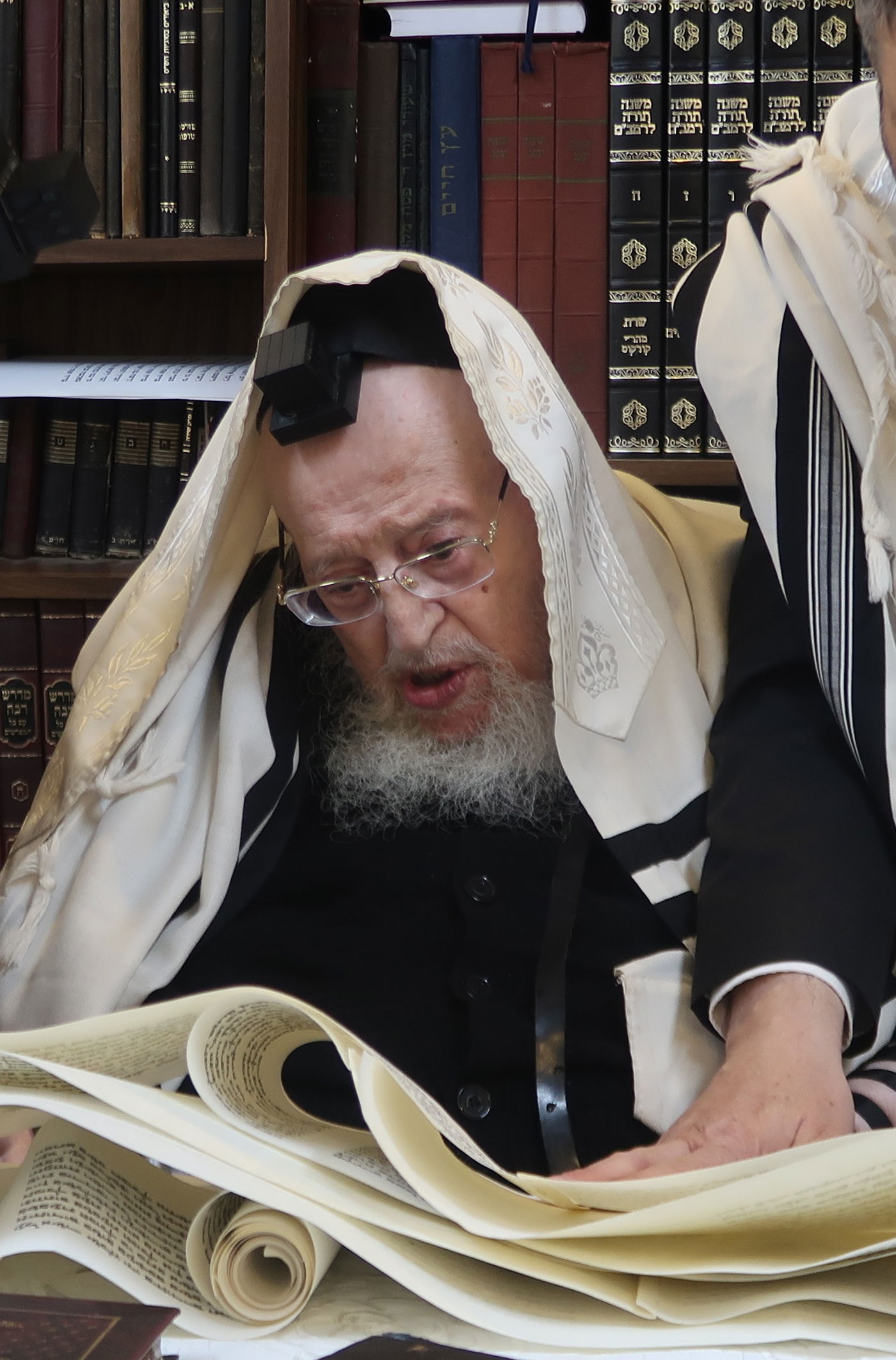 פורים בצל הגרמ"צ ברגמן 