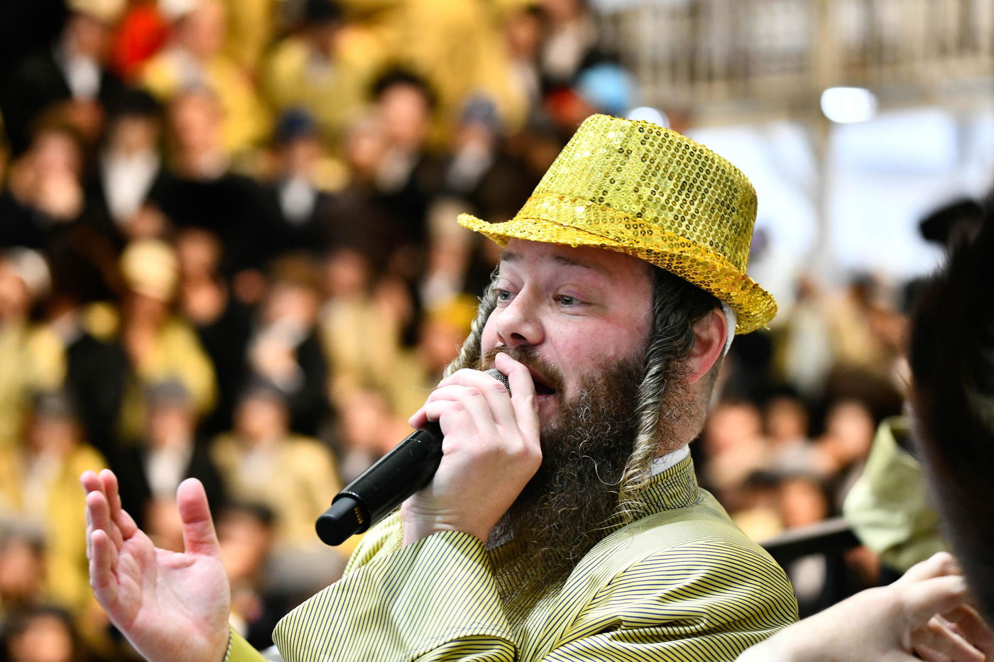 פורים בחצה"ק תולדות אהרן