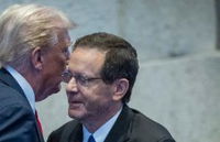 הרצוג וטראמפ