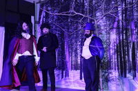 פורים בחצה"ק קאסוב ויז'ניץ