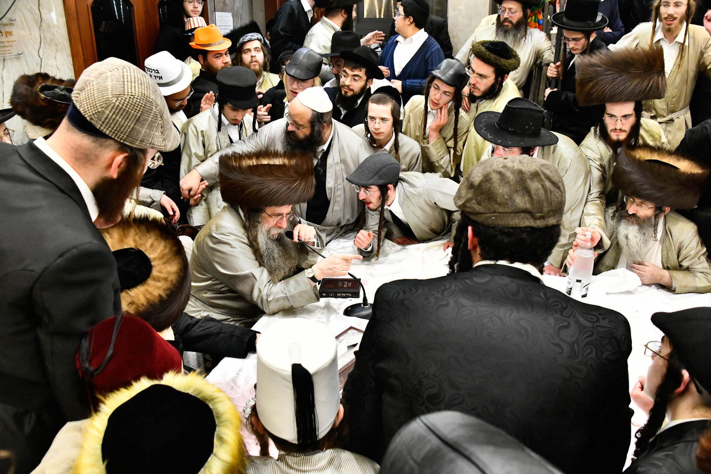 פורים בחצה"ק לעלוב צפניה