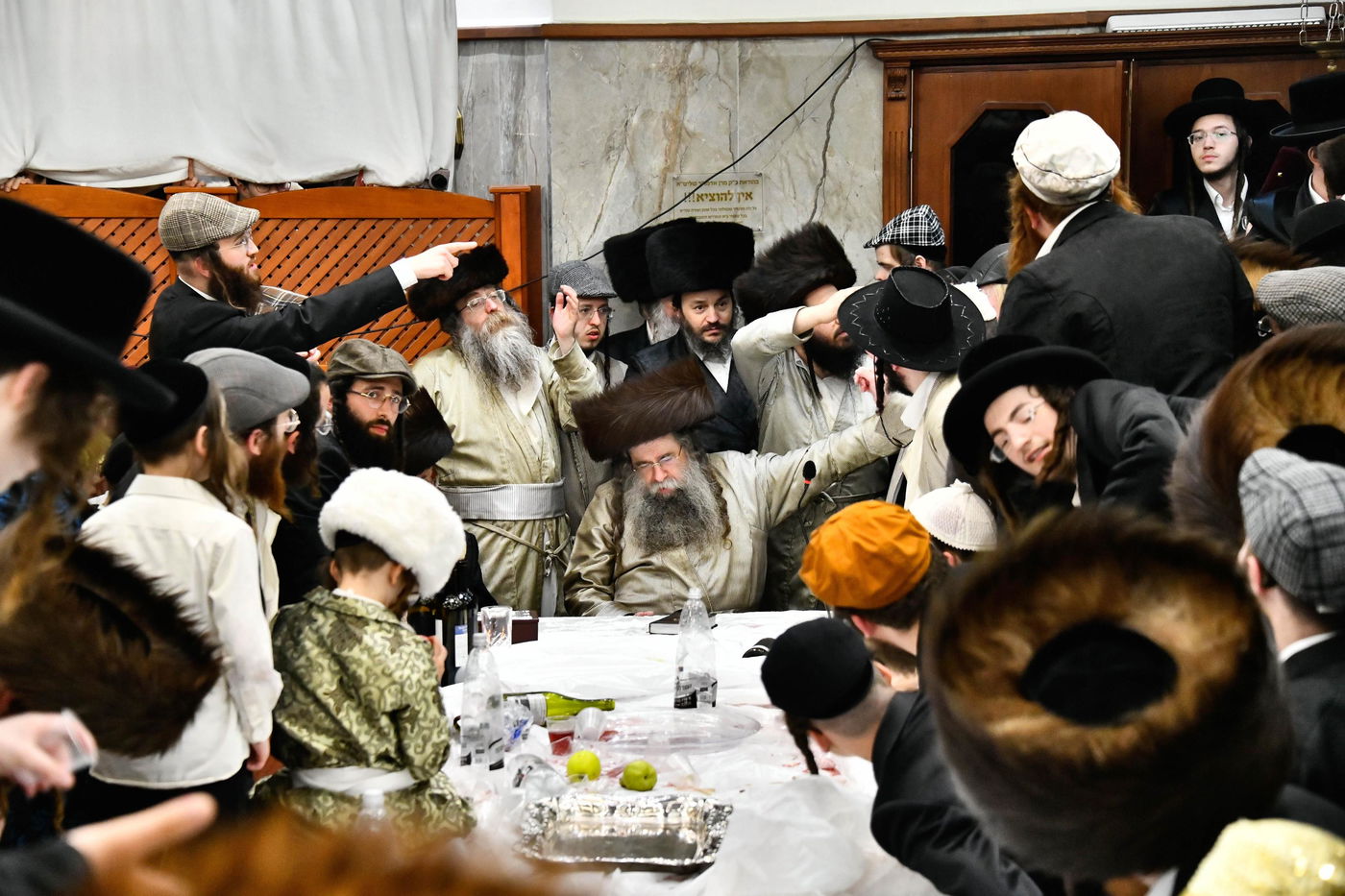 פורים בחצה"ק לעלוב צפניה