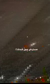 בתו של מחבל ששוחרר בעסקת "כנפי דרור" נעצרה בחשד להסתה לטרור