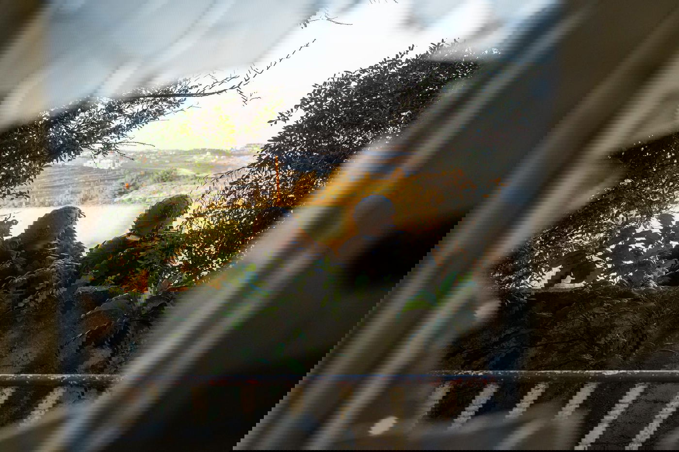 יותר מ-200 עצורים ביו"ש בשבוע האחרון; כ-30 כלי נשק נתפסו
