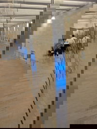 נתב"ג במבצע שאגת הארי