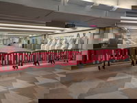 נתב"ג במבצע שאגת הארי