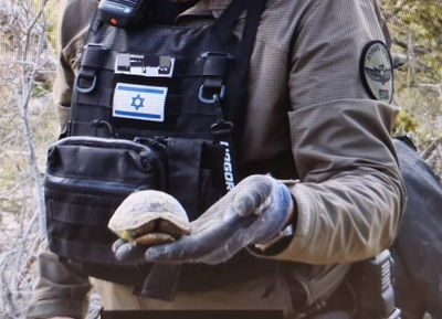 חבלני משטרה הצילו צב שנפגע מרסיס אמל"ח באזור מטה יהודה