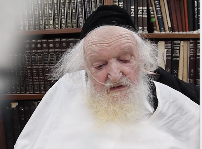 קולו של פוסק הדור נשנק "אי אפשר לפרט, זהו מהמקרים הקשים ביותר"