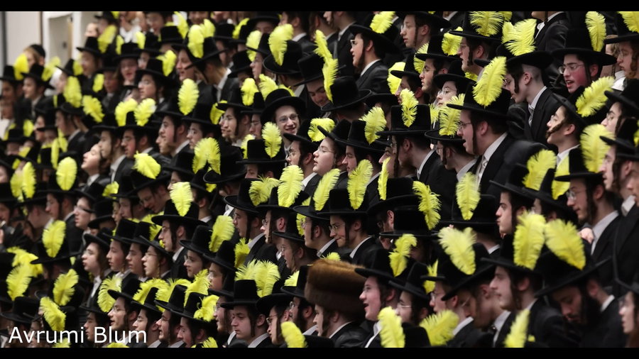 פורים בחצה"ק באבוב 45