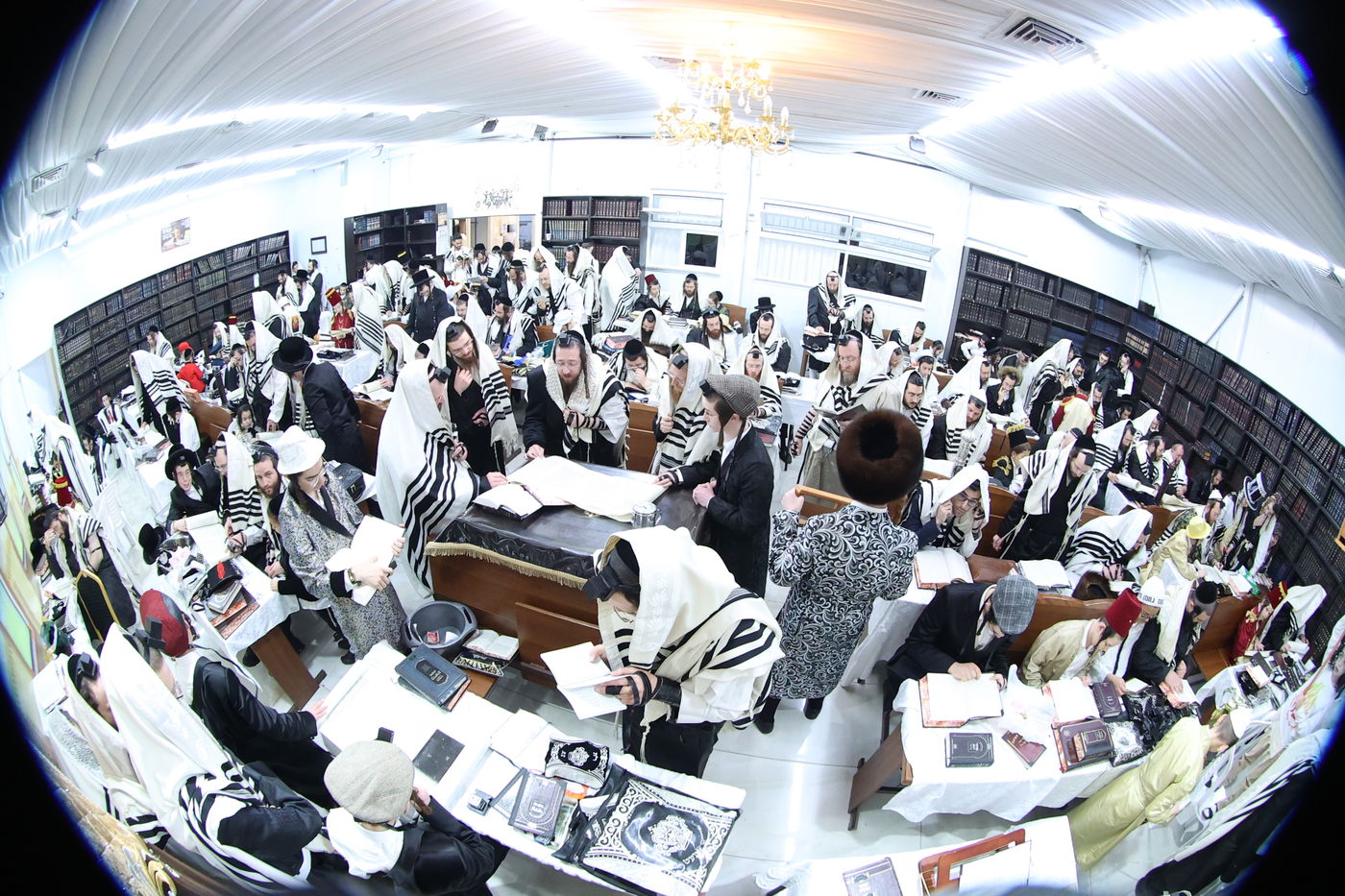 פורים בחצה"ק ספינקא בית שמש