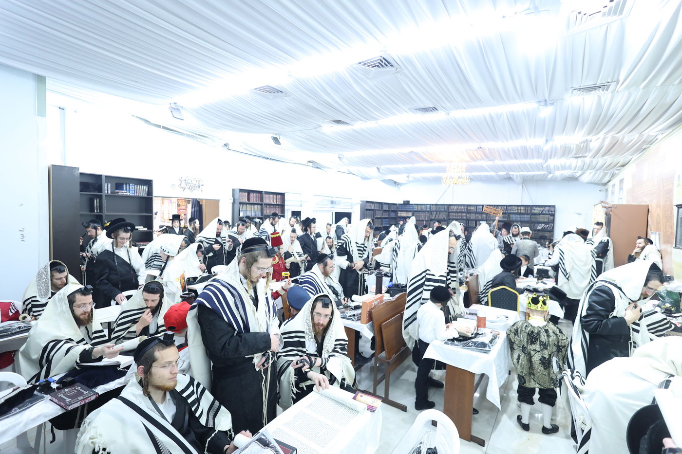 פורים בחצה"ק ספינקא בית שמש