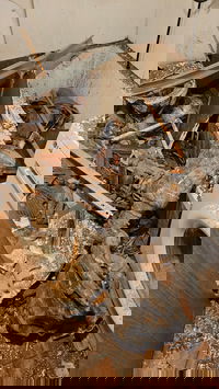 "קרה לנו נס": שבר טיל איראני נפל בחדר הכביסה של המשפחה החרדית