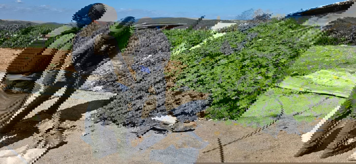 הרקטה שפגעה בלול