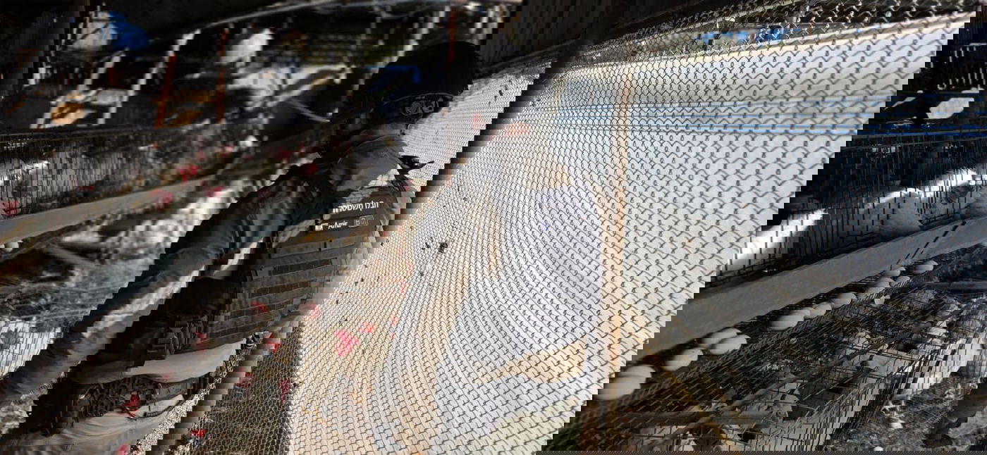 רקטה שפגעה בלול בצפון הארץ