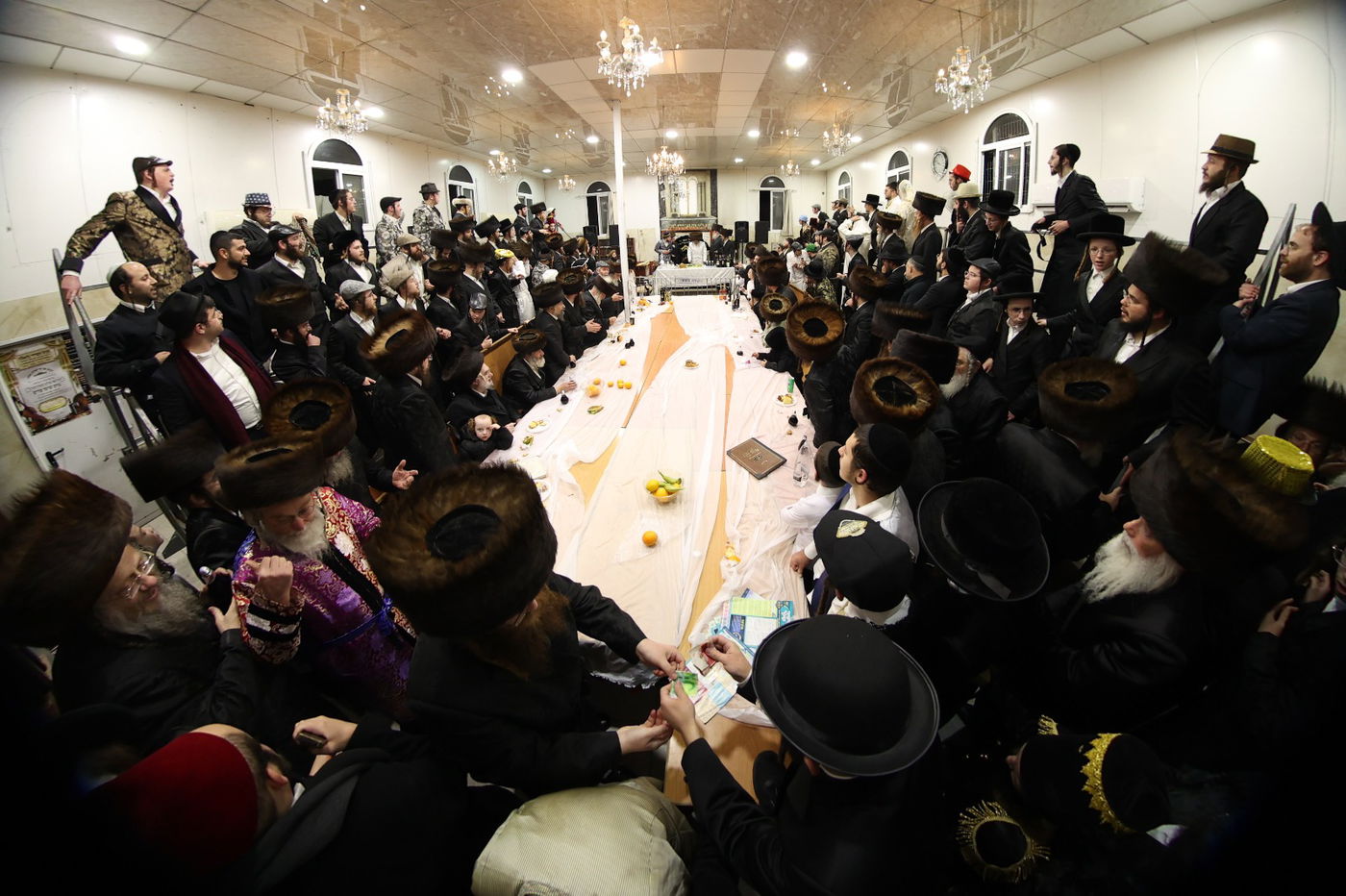 פורים בחצה"ק ביאלה ב"ב