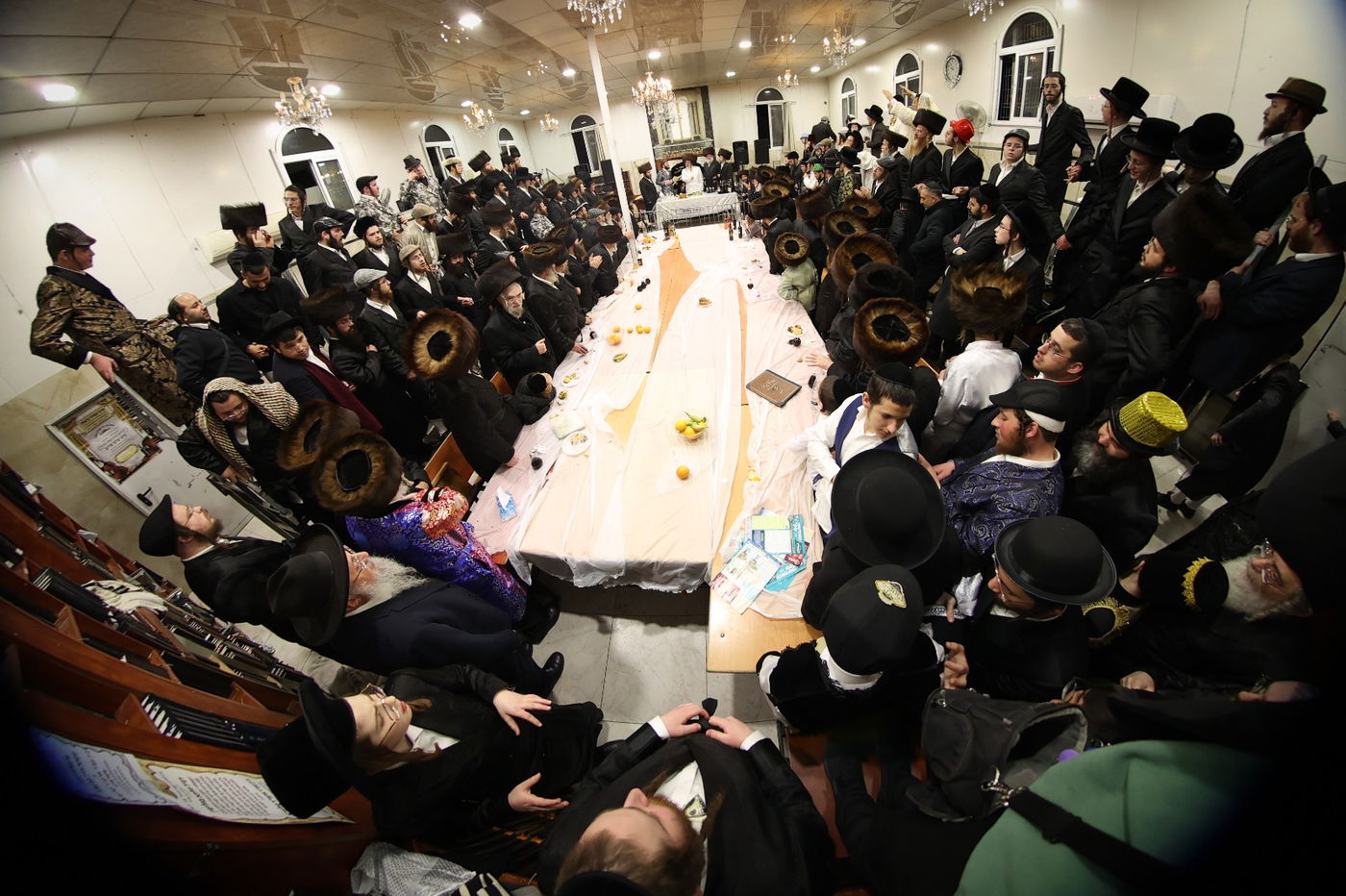 פורים בחצה"ק ביאלה ב"ב