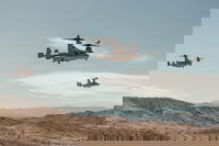 כוח המשימה האווירי הקרקעי של חיל הנחתים 