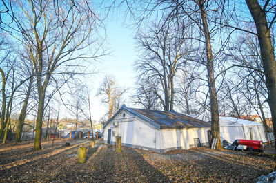 אוהל הרה"ק מליזענסק זי"ע - אדר תשפ"ו