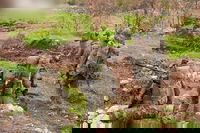 פעילות כוחות חטיבה 300 במרחב דרום לבנון