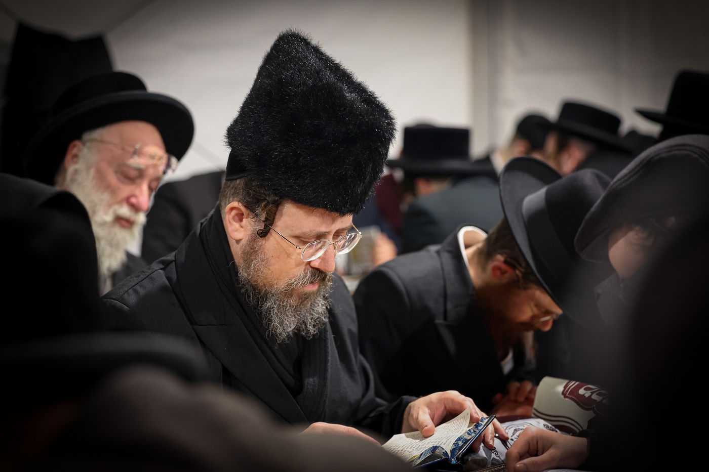 הילולא קדישא בליזענסק - תשפ"ו