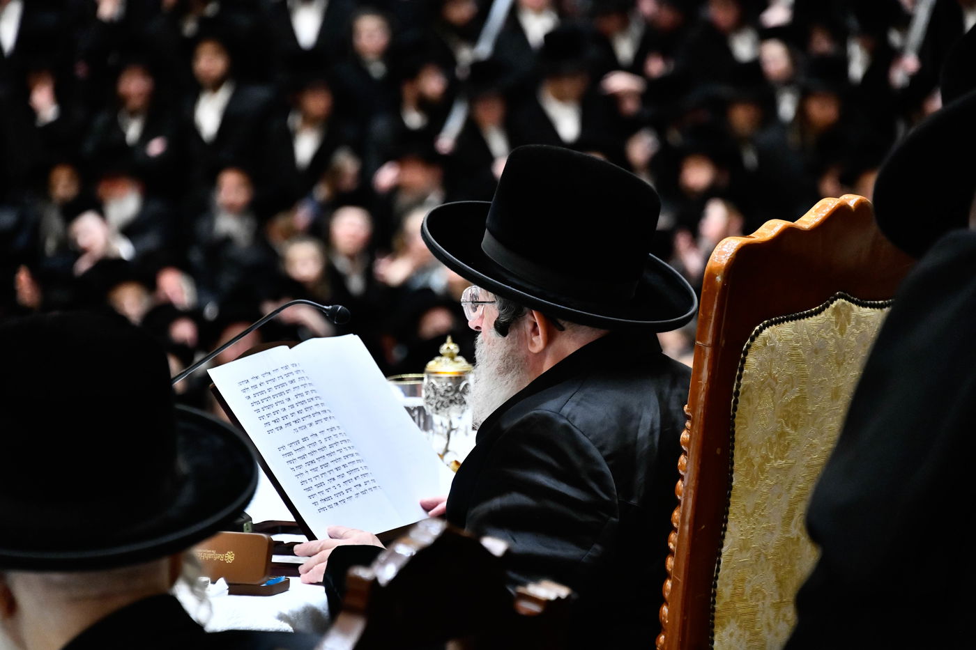 הילולא קדישא בויז'ניץ