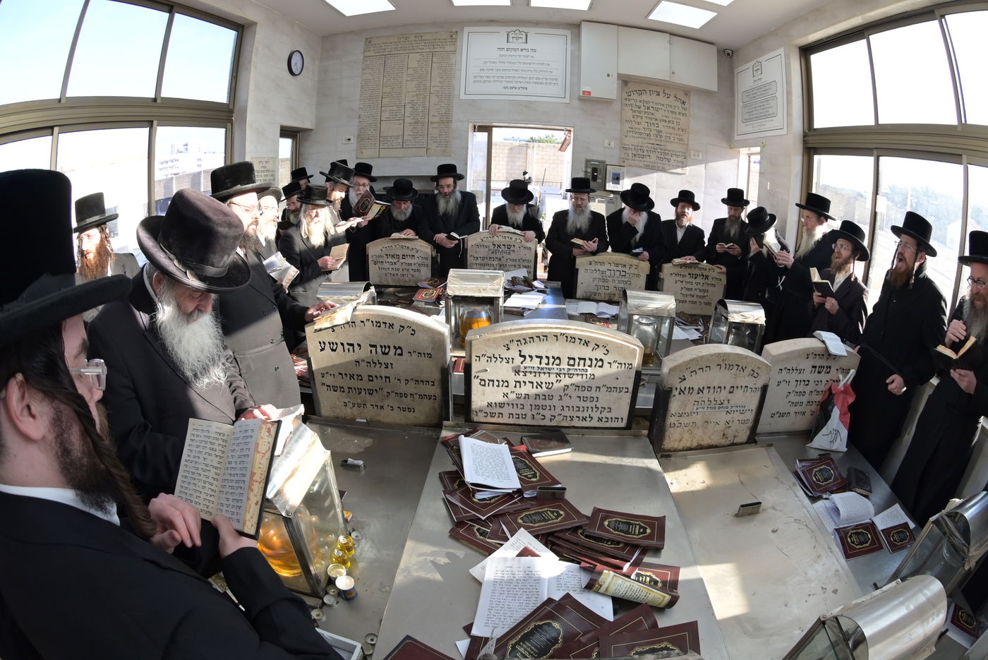 הילולא קדישא בויז'ניץ