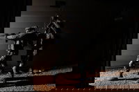 פעילות כוחות צה"ל בדרום לבנון