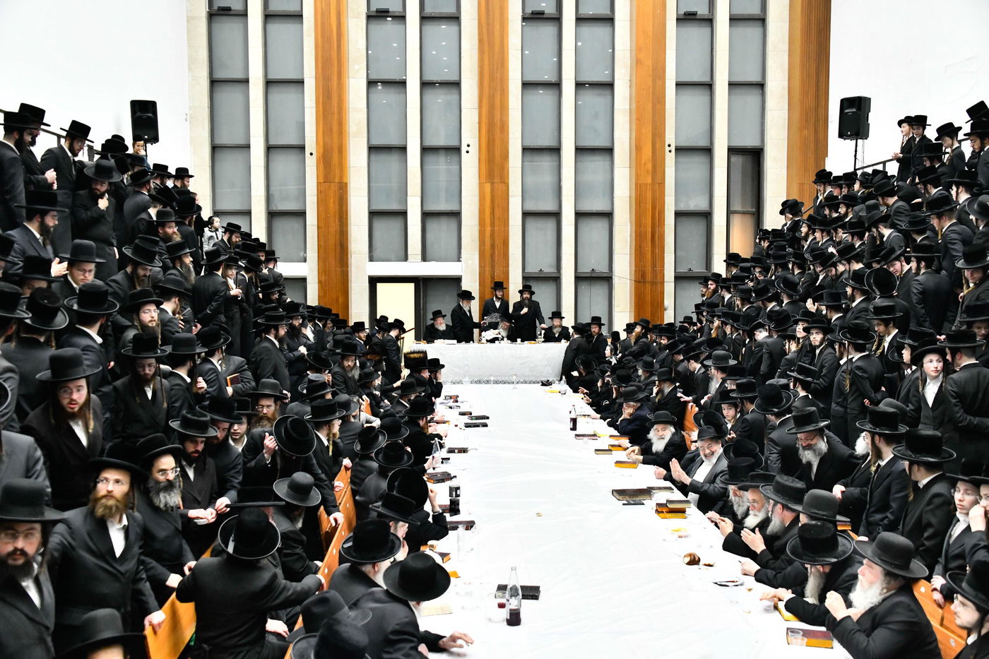 הילולא קדישא בביאלה